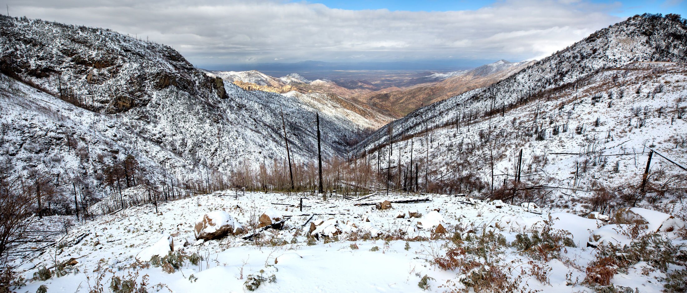 Snow in the Santa Catalina Mountains